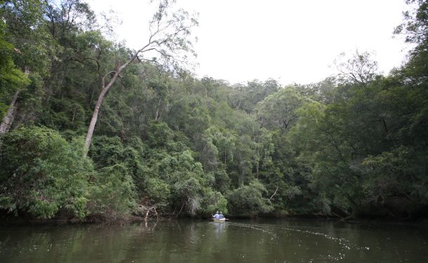 Time running out for habitat grants